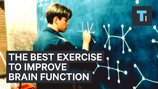 Neuroscientist explains the best exercise to improve brain function [upl. by Eelnodnarb]