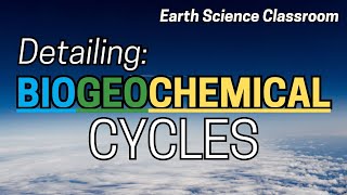 Detailing All The Biogeochemical Cycles [upl. by Jabon685]