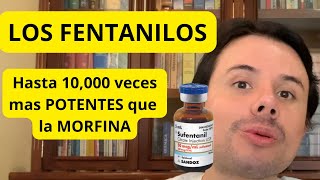 LOS FENTANILOS Hasta 10000 veces mas POTENTES que la MORFINA un reto para la sociedad actual [upl. by Ainala881]