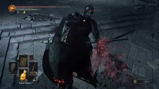 Lothric Castle Part 1  Consumed Kings Garden Untended Graves [upl. by Notnil]