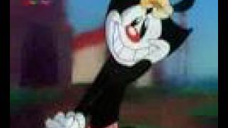 Animaniacs  German Intro Xtended [upl. by Salman]