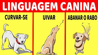 Como Entender Seu Cão [upl. by Seraphine886]