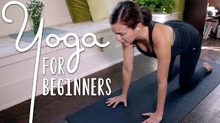 Yoga For Complete Beginners  20 Minute Home Yoga Workout [upl. by Bannasch]