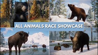 Planet Zoo 2024 All Animals Race Showcase [upl. by Addis]