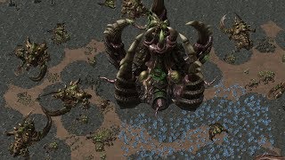 Starcraft 2  ZERG in REAL Size [upl. by Lehar]