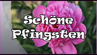 Schöne Pfingsten 🌸 [upl. by Bayless]