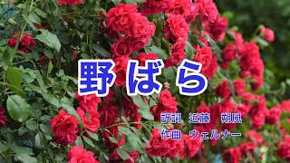 野ばら｜ウェルナー｜日本語歌詞｜ドイツ歌曲｜童はみたり 野なかの薔薇 [upl. by Mariandi]