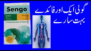 Ginko Biloba Sengo tablet Urdu Hind Uses Side Effects [upl. by Gleeson]