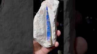 Opalized skeleton of the belemnite [upl. by Zola]