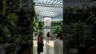 Najlepsze lotnisko na świecie singapore airport holiday forest chill travel [upl. by Haonam]