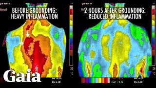 This is How EARTHING Reduces INFLAMMATION in the Body [upl. by Ellennahs102]