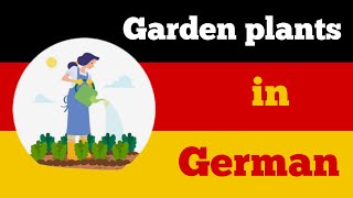 German words  garden plants in German [upl. by Zobe]