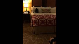 Disney Aulani Hawaii One Bedroom Villa October 2014 [upl. by Eidur]