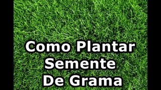 COMO PLANTAR SEMENTE DE GRAMA PARA JARDIM PAISAGISMO VASOS [upl. by Goddord]