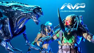 Wolf Predator Scar Predator vs Queen alien  Predalien StopMotion [upl. by Rother]