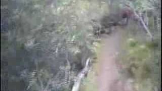 Chico Mtn Bikers  mountain biking south rim Chico CA [upl. by Anerdna]