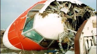 boredomshort video Martinair Holland Flight 495 Crash Sequence [upl. by Leund166]