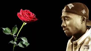 2pac little do you know  sad love song [upl. by Yornek646]