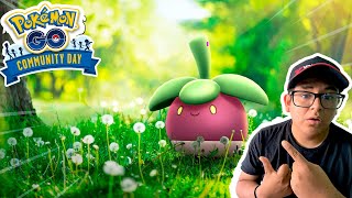 71 SHINYS COMMUNITY DAY DE BOUNSWEET POKEMON GO [upl. by Lienaj550]