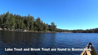 Bonnechere Lake Algonquin Park [upl. by Stine]