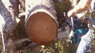 Makita 90cc Chainsaw First Cuts [upl. by Ecirahs61]