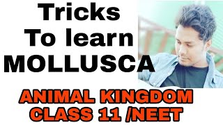 Tricks to learn the examples of MOLLUSCA ANIMAL KINGDOM CLASS 11 [upl. by Idnor88]