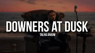 Downers At Dusk Slowed  Reverb  Talha Anjum  Prod by umair [upl. by Nylissej]