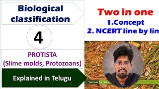 BIOLOGICAL CLASSIFICATION4 PROTISTASlime molds Protozoans  NCERTLINE BY LINE  Class 11 [upl. by Gellman]