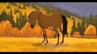 Hula Hoop Song with horses yes Onisions song [upl. by Peursem159]