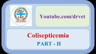 Colisepticemia Part 2 [upl. by Annaoi]