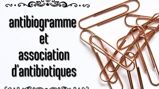 antibiogramme et association dantibiotiques [upl. by Ayital]