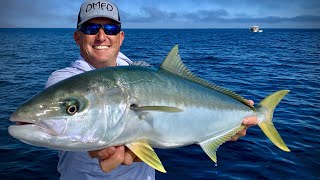 Pacific Yellowtail Catch Clean Cook Mag Bay Mexico [upl. by Namreg]