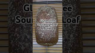 Gluten Free Sourdough Loaf Bread sourdoughbread glutenfree baking [upl. by Naman]