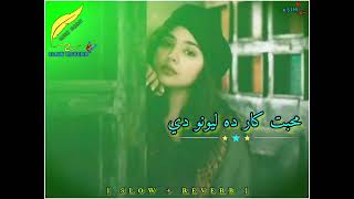 Muhabbat Kar Da Lewano Dy  Pashto Song   Slow  Reverb [upl. by Oileduab]