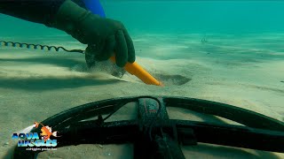 1 Man 2 GoPros go Underwater Beach Metal Detecting Torch Lake Michigan [upl. by Enelyk503]