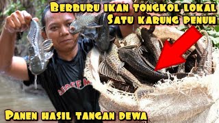 DEDE INOEN BERBURU DAN MEMASAK IKAN TONGKOL AIR TAWAR [upl. by Nosmoht]