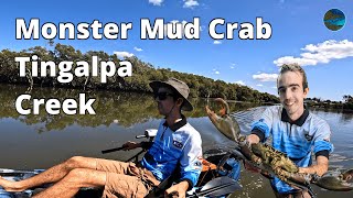 Catching Monster Mud Crabs After Big Floods Tingalpa Creek [upl. by Eilitan]