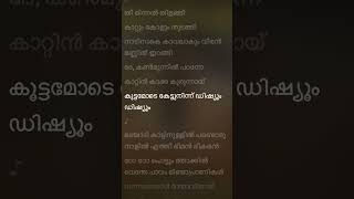 Minnal murali song minnalmurali lyrics songforkids song malayalam [upl. by Gyatt457]