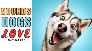 🤔Sounds That Make Your Dog Bark or Tilt Head  Dogs Barking Loud  Dog Sounds [upl. by Tidwell]