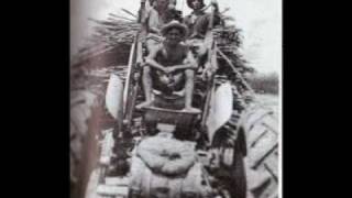 Cane farming in the Burdekin Neofitos Stefanos [upl. by Cavan]