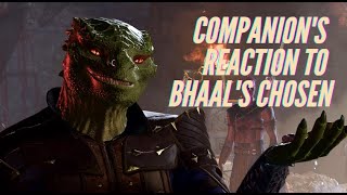 Companions reaction to Bhaals chosen  Baldurs gate 3 [upl. by Adara]