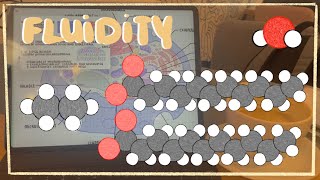 Fatty Acids Temperature and Cholesterol  Impacting Membrane Fluidity amp Lateral Diffusion [upl. by Audwin272]