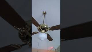 National Ceiling Fan Day Speical Every fan in my house running on all 3 speeds [upl. by Gannie]