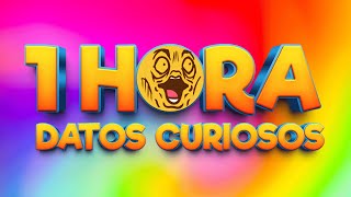 1 HORA DE DATOS CURIOSOS Y CURIOSIDADES ⏰😲 [upl. by Avevoneg]