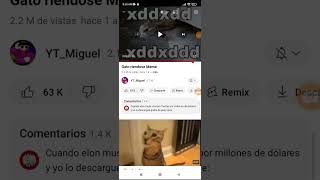 gato riéndose meme créditos a ytmiguel XD XD [upl. by Aseyt375]