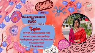 White Blood Cells Classification Functions and Disorders  Cellular Physiology and Blood – Item 8 [upl. by Trojan481]