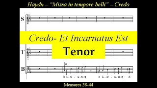 Haydn  Missa In Tempore Belli  Paukenmesse  3b Credo  Et Incarnatus Est  Tenor [upl. by Barthol909]