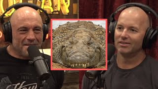 JRE  Scary CROC Stories [upl. by Tavis361]