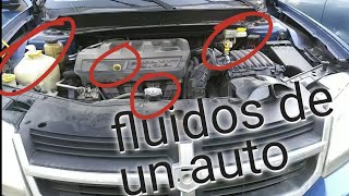 como revisar todos los líquidos o fluidos de un auto [upl. by Mendes]