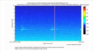 Sonar Pings and Sweeps [upl. by Aisac86]